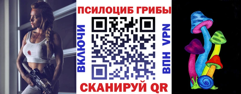 Галлюциногенные грибы мицелий Великий Устюг